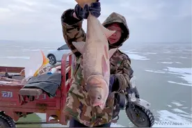 带你们了解一下大东北传统冬捕文化松花江冬捕#长白山 #冬捕 #松花江#野生鱼 #冬季冰上捕鱼视频封面