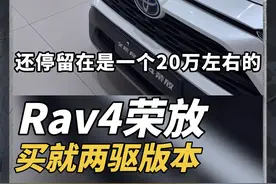 月销两万台，丰田荣放卖的好是低配的两驱版本，稳定性还是最大卖点#丰田荣放rav4 #丰田荣放视频封面