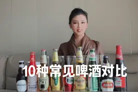 10种常见的啤酒对比测评，青岛百威雪花大乌苏，精酿纯生和水啤视频封面