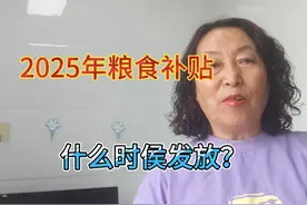 2025年粮食补贴什么时侯发放？视频封面