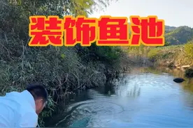 搬一些大石头装饰一下我们的鱼池，装上玻璃以后像个大鱼缸。 #庭院鱼池 #山泉水 #山间小溪 #野采 #三农