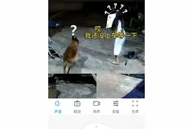 原谅我不厚道的笑了《我还没上车》 视频封面