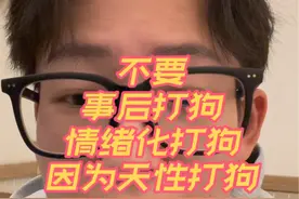 你打过你的狗吗？不要事后打狗，不要情绪化打狗，不要由于狗的天性打狗#养狗经验分享 #新手养狗 #科学养狗