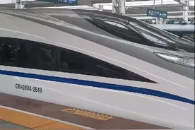 和谐号进站，在车站看人山人海。#铁道线上的中国 #火车站 #高铁 #绿皮火车 #铁路摄影 G3475次列车，郑州东至南宁东。