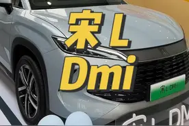 宋 L Dmi 新风格的宋 L Dmi 来啦，会是你的菜吗？#比亚迪宋ldmi #比亚迪 #抖音汽车人共创计划