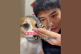 论狗狗演技这回事儿～ #演技 #抖音精选 #月度精选作者 #抖音精选计划 #万物可爱计划