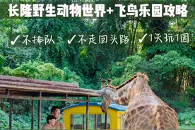 这一定是全网最硬核的长隆亲子游攻略！

2天1夜