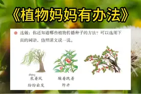 《植物妈妈有办法》课后句子仿写#语文 #二年级