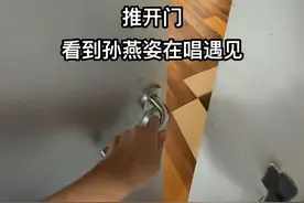 孙燕姿北京演唱会包厢票 打开门，看到孙燕姿在唱《遇见》