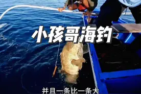 小孩哥海钓，鱼儿一条接一条，太刺激了#钓鱼 #海钓#石斑#小孩#解压