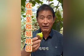 由于生活压力，我常常无暇顾及周围的事物