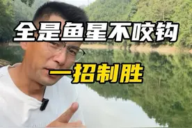 窝子里满是鱼星鱼泡就是不咬钩，教你一招鱼追着钩子咬 #野钓 #钓鱼技巧#滑漂 #老坛甜薯视频封面