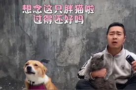 抱着小胖猫跟狗狗一起合唱一首怎么爱也爱不够 #狗狗是懂音乐的 #怎么爱也爱不够另类版 #狗语十级