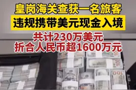 旅客违规携带未申报的美元现金230万入境被现场查获视频封面