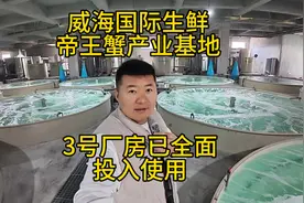 山东威海帝王蟹，国际生鲜基地，三个厂房已全部投入运行模式，