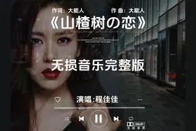 程佳佳《山楂树の恋》无损音乐完整版 我的山楂树之恋视频封面
