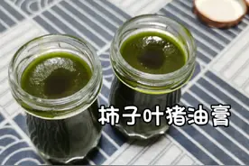 按流传配方自制的“柿子叶猪油膏”～自己摸索的具体用量