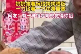 奶奶端着碗给狗狗喂饭一勺接着一勺往嘴里塞 “有一种饿是奶奶觉得你饿”#奶奶视频封面