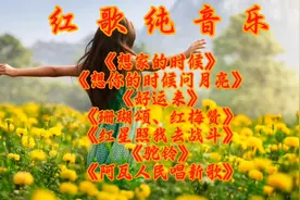 红歌纯音乐《想家的时候》《想你的时候问月亮》《好运来》……