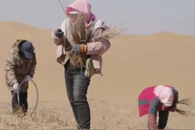 沙漠种树#记录沙漠植树日常#沙漠植树#治沙人#沙漠变绿洲视频封面