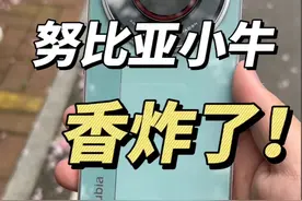 百元机还能兼顾拍照？799元努比亚小牛没坑我吧！芯片还不认识 百元机还能兼顾拍照？799元努比亚小牛没坑我吧！芯片还不是骁龙#努比亚 #努比亚小牛 #百元机视频封面