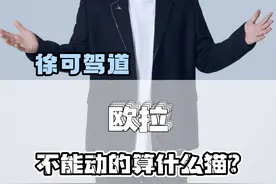 孙先生欧拉黑猫动力系统故障，维修点挂断电话，欧拉方面不回复不处理#汽车 #汽车人共创计划视频封面