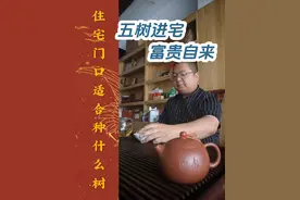 住宅门口适合种什么树？五树进宅，富贵自来。#风水玄学视频封面