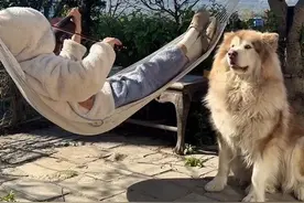 《宾克斯的美酒》加长版！一起唱起来吧！#小提琴 #海贼王#有一种生活叫大理 #享受这悠闲时光 #旅居生活