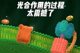 动画演示光合作用的过程#高中生物 #光合作用 #3d动画演示