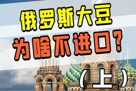为什么我们要舍近求远，进口美国大豆？ #大豆 #美国 #俄罗斯 #科技周周视频封面