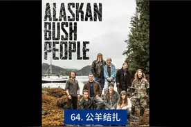 第64集｜蛮野一家：雪鸟和加布用结扎器给公羊绝育#纪录片