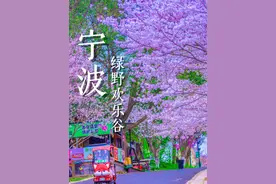 在宁波适合遛娃溜女友的赏樱踏春的乐园绿野欢乐谷你准备什么时…