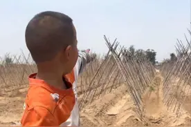 5月18日，河南，小男孩指着地里给姑姑介绍自己的爸爸，这一幕让人心碎泪奔……（来源：桂兰；编辑：Li）#心酸 #思念 #泪奔视频封面