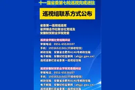 十 十一届省委第七轮巡视完成进驻，巡视组联系方式公布#安徽 #巡视视频封面