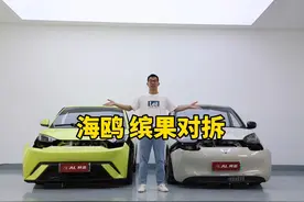 对比拆解缤果和海鸥，谁的用料更好呢？#五菱缤果 #比亚迪