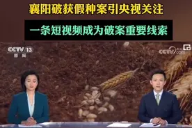 襄阳破获假种案引央视关注！一条短视频成为破案重要线索。#央视 #襄阳 #种子 #打假视频封面