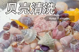 贝壳清洗 滋啦滋啦贝壳大变身啦，同款草酸兑水1：1稀释使用