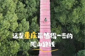歌乐山森林公园带狗子爬山 #户外徒步登山 #歌乐山 #带狗子爬山 #一起爬山 #爬山视频封面