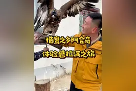 柯尔克孜族人与鹰，有着亲密的关系。千百年来，他们居住的地方被称为“猎鹰之乡”。#训鹰 #新疆美好推荐官 #牧区生活的另一种打开方式