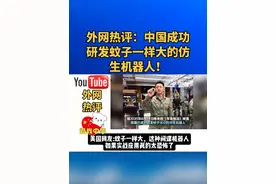 外网热评：中国成功研发蚊子一样大的仿生机器人！视频封面