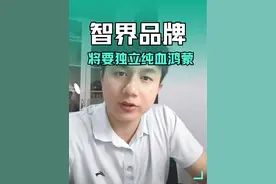 智界品牌将要独立，交给华为来主导，成为真正的纯血鸿蒙#智界 #智界独立 #鸿蒙智行 #奇瑞 #智界r7