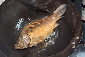 听我的 ，选会做饭的#鲫鱼汤 #鲫鱼丝瓜汤 #鲫鱼豆腐 #家常菜 #美食教程