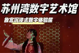 这是苏州2025年初！不可错过的故宫展！ #看展打卡   #一眼万年的中国非遗 #3d裸眼 #亲子游玩好去处 #值得一去的博物馆视频封面