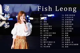 梁静茹经典老歌三十首，二个半小时加长版 #一首歌一个故事