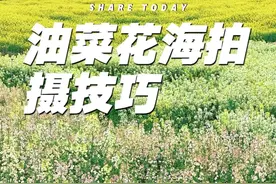 五个拍花新方法 通用油菜花拍摄教程，一个比一个好看，简单易学#拍花技巧 #拍摄花朵教程 #油菜花 #油菜花拍照 #拍花视频封面