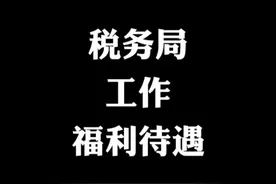税务局的工作福利待遇问题#体制内 #福利待遇 #税务局工资视频封面