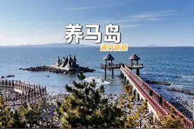 2025年养马岛将全面实行旺季交通管控，如何进岛