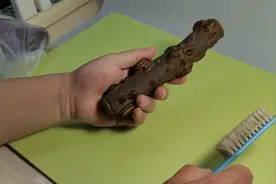 老刘从老家拣回的花椒木做手把件文玩，能不能通过把玩盘红亮视频封面