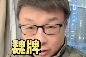 魏牌是一个比较特殊的品牌，蓝山的销量也又一次突破新高