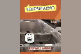 网购小鸡没去领我也是真没想到#搞笑#网购#快递#万万没想到#奇葩视频封面